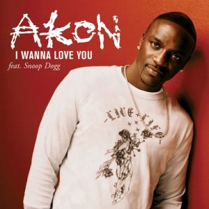 Akon - I Wanna Love You - Used CD