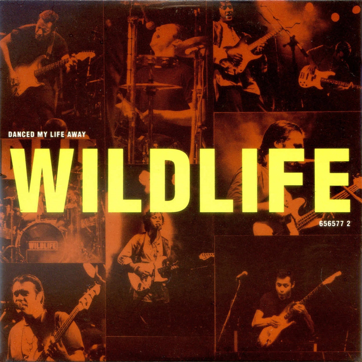 Wildlife - Danced My Life Away - Used Vinyl Record 12"