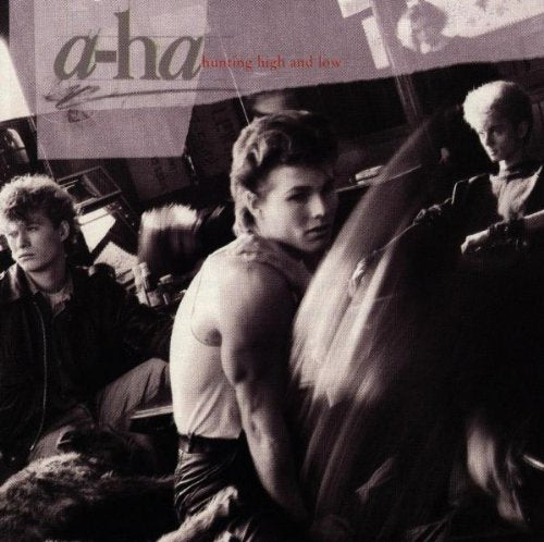 a-ha - Hunting High And Low - Used Vinyl Record