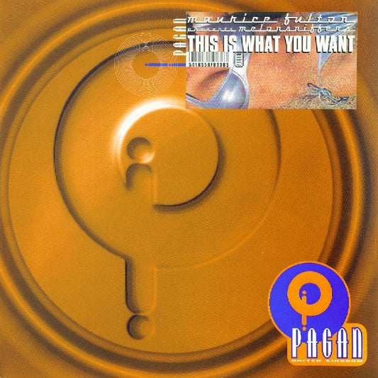 Maurice Fulton - This Is What You Want - Used Vinyl Record 12"