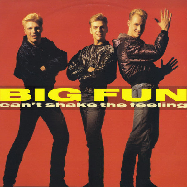 Big Fun - Can't Shake The Feeling - Used Vinyl Record 12"