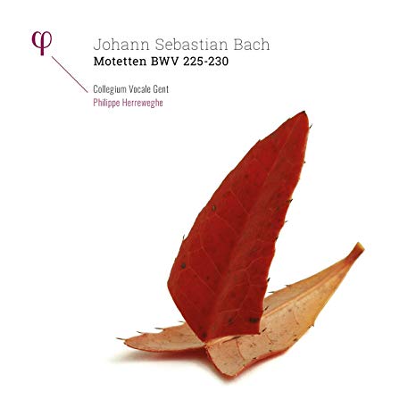 Johann Sebastian Bac - Motetten BWV 225 - 230 - Vinyl Record