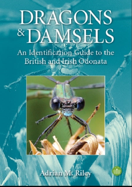 Adrian Riley - Dragons and Damsels : An identification guide to the Br