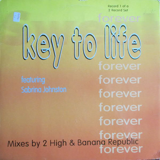 Key To Life - Forever - Used Vinyl Record 12"