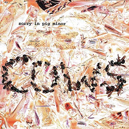 Cows - Sorry In Pig Minor - CD