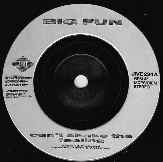 Big Fun - Can't Shake The Feeling - Used Vinyl Record 7"
