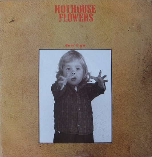 Hothouse Flowers - Don't Go - Used Vinyl Record 12"