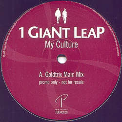 1 Giant Leap - My Culture - Used Vinyl Record 12"