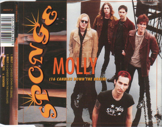 Sponge - Molly (16 Candles Down The Drain) - Used CD