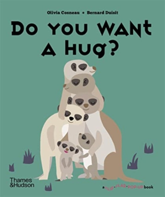 Bernard Duisit - Do You Want a Hug? - New Hardback