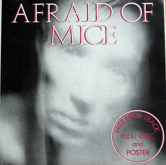 Afraid Of Mice - Medley : Popstar, Bad News, Taking It Easy, Important