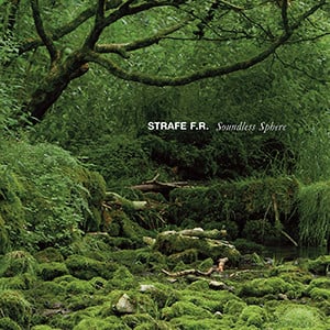 Strafe Fur Rebellion - Soundless Sphere - New CD