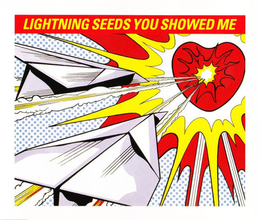 Lightning Seeds - You Showed Me - Used CD