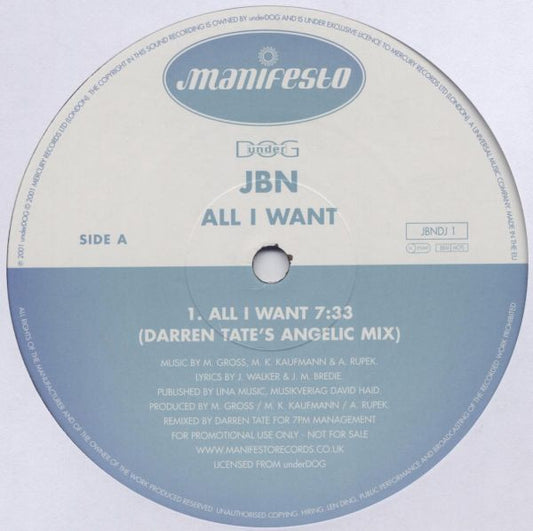 JBN - All I Want - Used Vinyl Record 12"