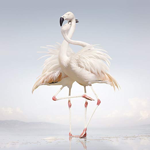 Rustie - Green Language - New CD