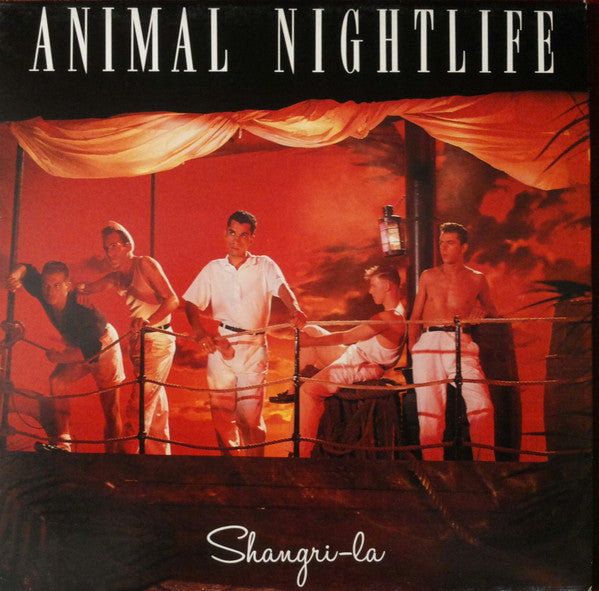 Animal Nightlife - Shangri-La - Used Vinyl Record