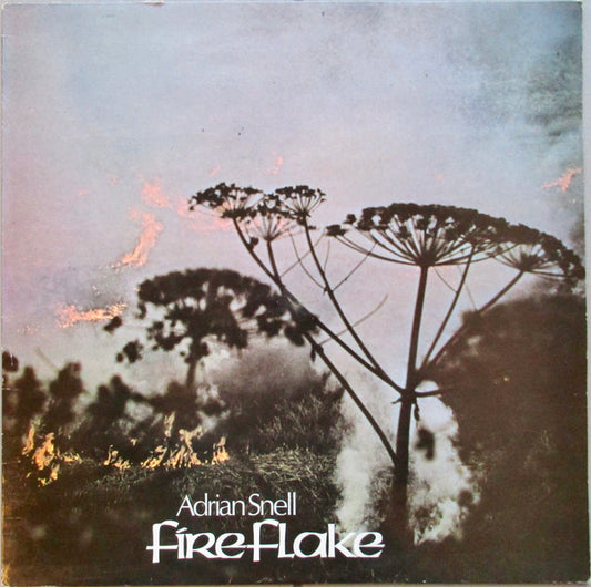 Adrian Snell - FireFlake - Used Vinyl Record