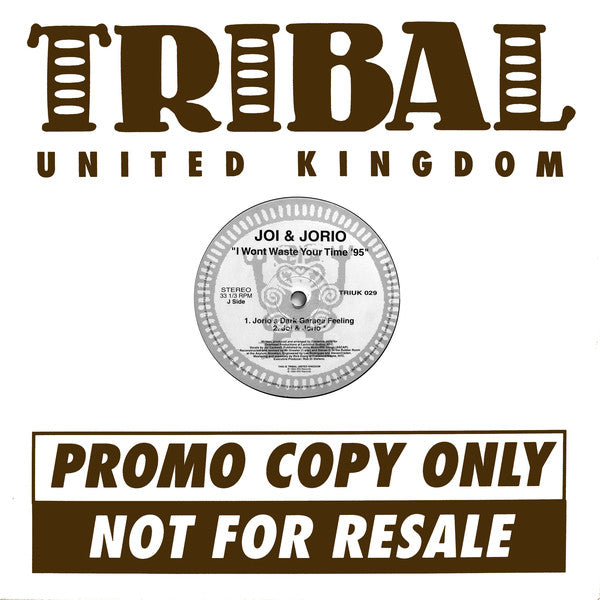 Joi + Jorio - I Won't Waste Your Time '95 - Used Vinyl Record 12"
