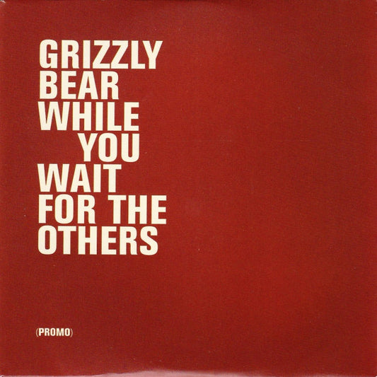 Grizzly Bear - While You Wait For The Others - Used CD