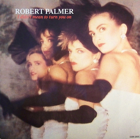 Robert Palmer - I Didn't Mean To Turn You On - Used Vinyl Record 12"
