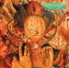FESTERDECAY - REALITY ROTTEN TO THE CORE - Preorder - New CD