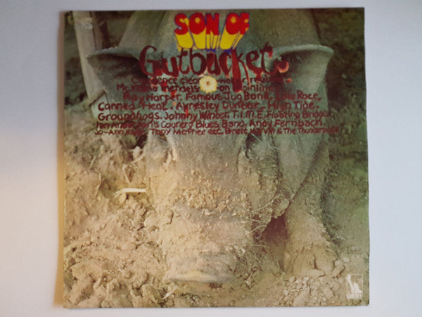 Various - Son Of Gutbucket - Used Vinyl Record