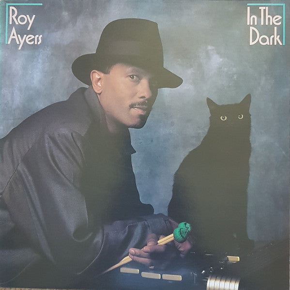 Roy Ayers - In The Dark - Used Vinyl Record