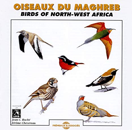 Jean C. Roche - Oiseaux Du Maghreb - Birds Of North-West Africa - CD