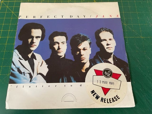 Perfect Day - Jane - Used Vinyl Record 7"