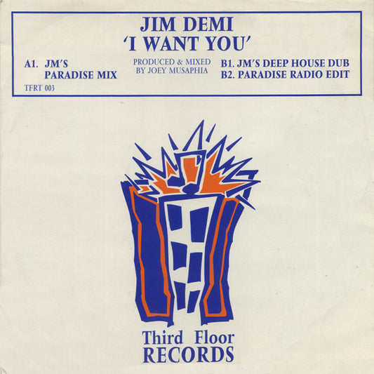 Jim Demi - I Want You - Used Vinyl Record 12"