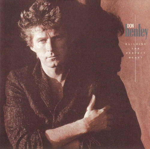 Don Henley - Building The Perfect Beast - Used Vinyl Record