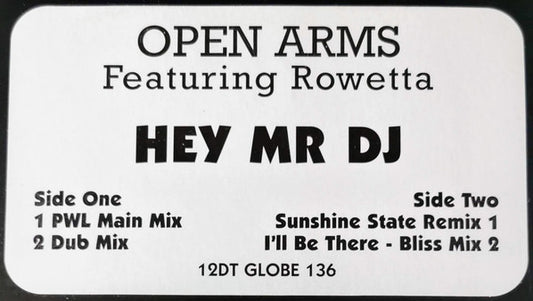 Open Arms - Hey Mr DJ - Used Vinyl Record 12"