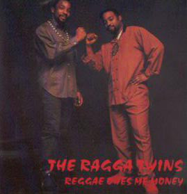 The Ragga Twins - Reggae Owes Me Money - Used CD