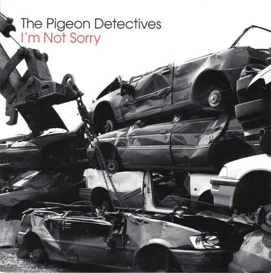 The Pigeon Detective - I'm Not Sorry - Used Vinyl Record 7"