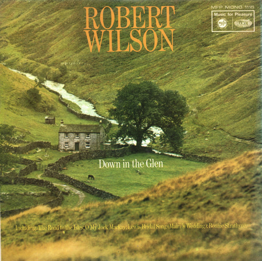 Robert Wilson - Down In The Glen - Used Vinyl Record