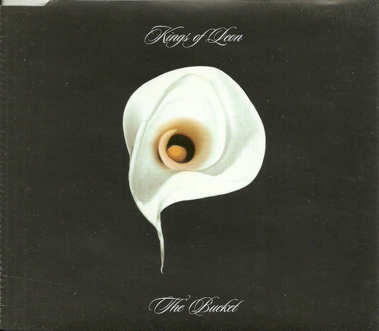 Kings Of Leon - The Bucket - Used CD