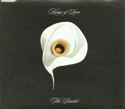 Kings Of Leon - The Bucket - Used CD