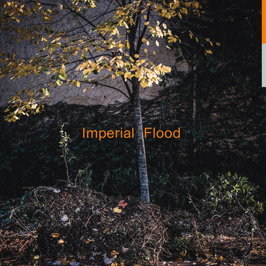 Logos - Imperial Flood - New Vinyl Record