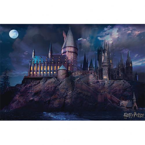 Harry Potter - Poster Hogwarts Night 299 - Posters