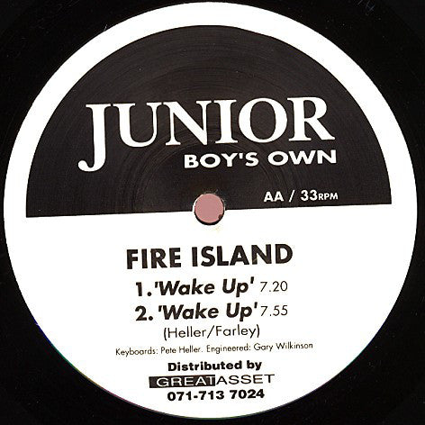 Fire Island - In Your Bones / Wake Up - Used Vinyl Record 12"