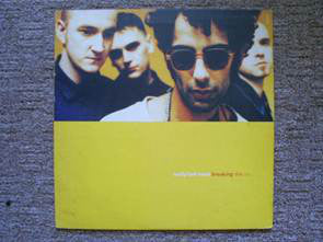 Molly Half Head - Breaking The Ice - Used Vinyl Record 10"