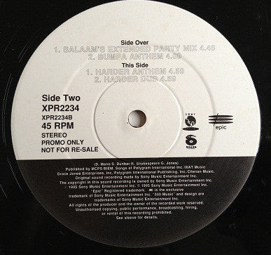 Patra - Pull Up To The Bumper - Bumper Mixes - Used Vinyl Record 12"
