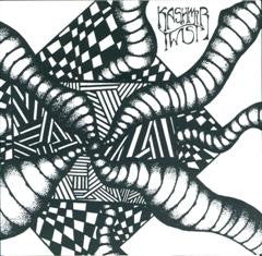 Kashmir Twist - Wild Birds Escape - Used Vinyl Record 7"