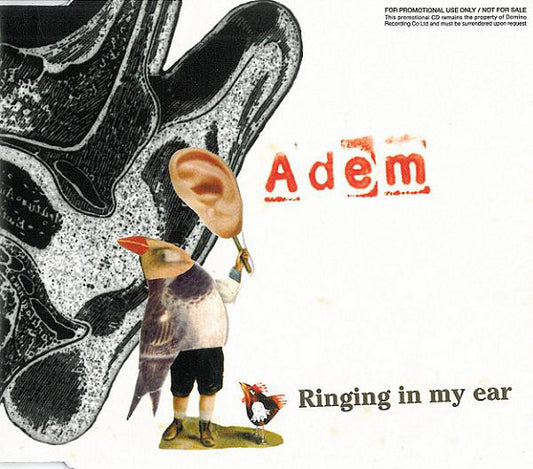 Adem - Ringing In My Ear - New CD