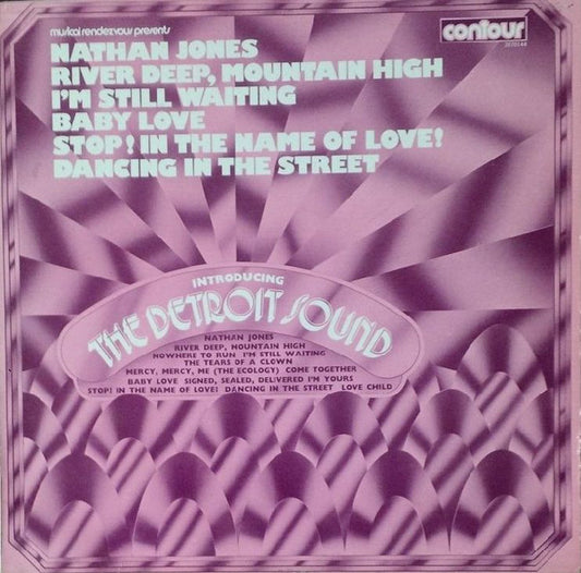 The Detroit Sound - Introducing The Detroit Sound - Used Vinyl Record