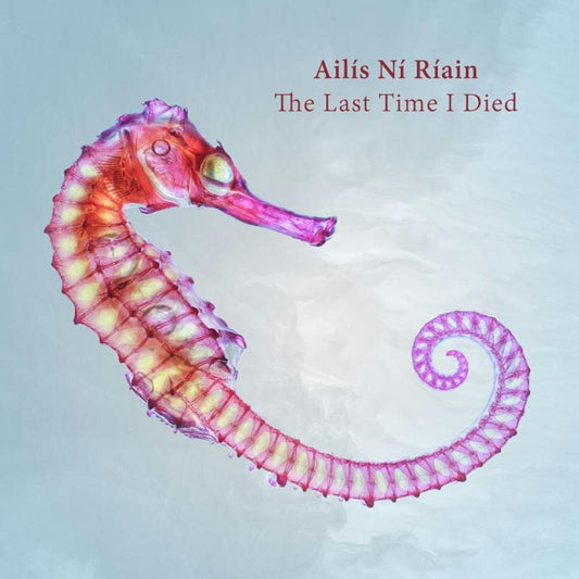 Ailís Ní Ríain: The Last Time I Died - New CD