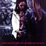 Lenny Kravitz - Are You Gonna Go My Way - Used CD