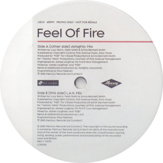 Lucy Skye - Feel Of Fire - Used Vinyl Record 12"