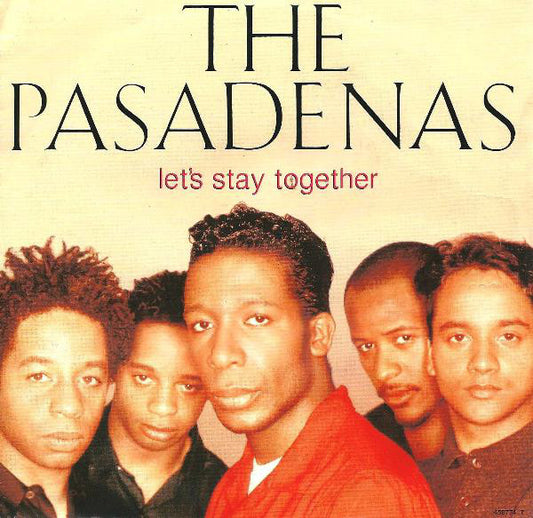 The Pasadenas - Let's Stay Together - Used Vinyl Record 7"