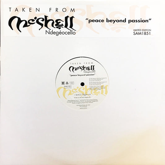 Me'Shell NdegeOcello - Leviticus: Faggot - Used Vinyl Record 12"